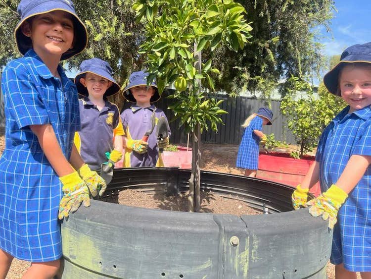 No photo description available.